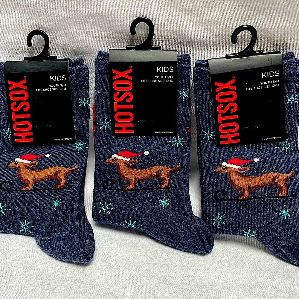 Weiner Dog sledding in snow flake HOT Socks Kids youth fits shoe size 10-13